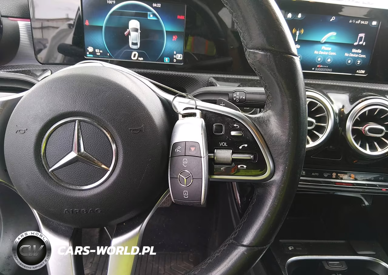 2019 Mercedes-Benz A 220 VIN:WDD3G4EB6KW007048 - 11