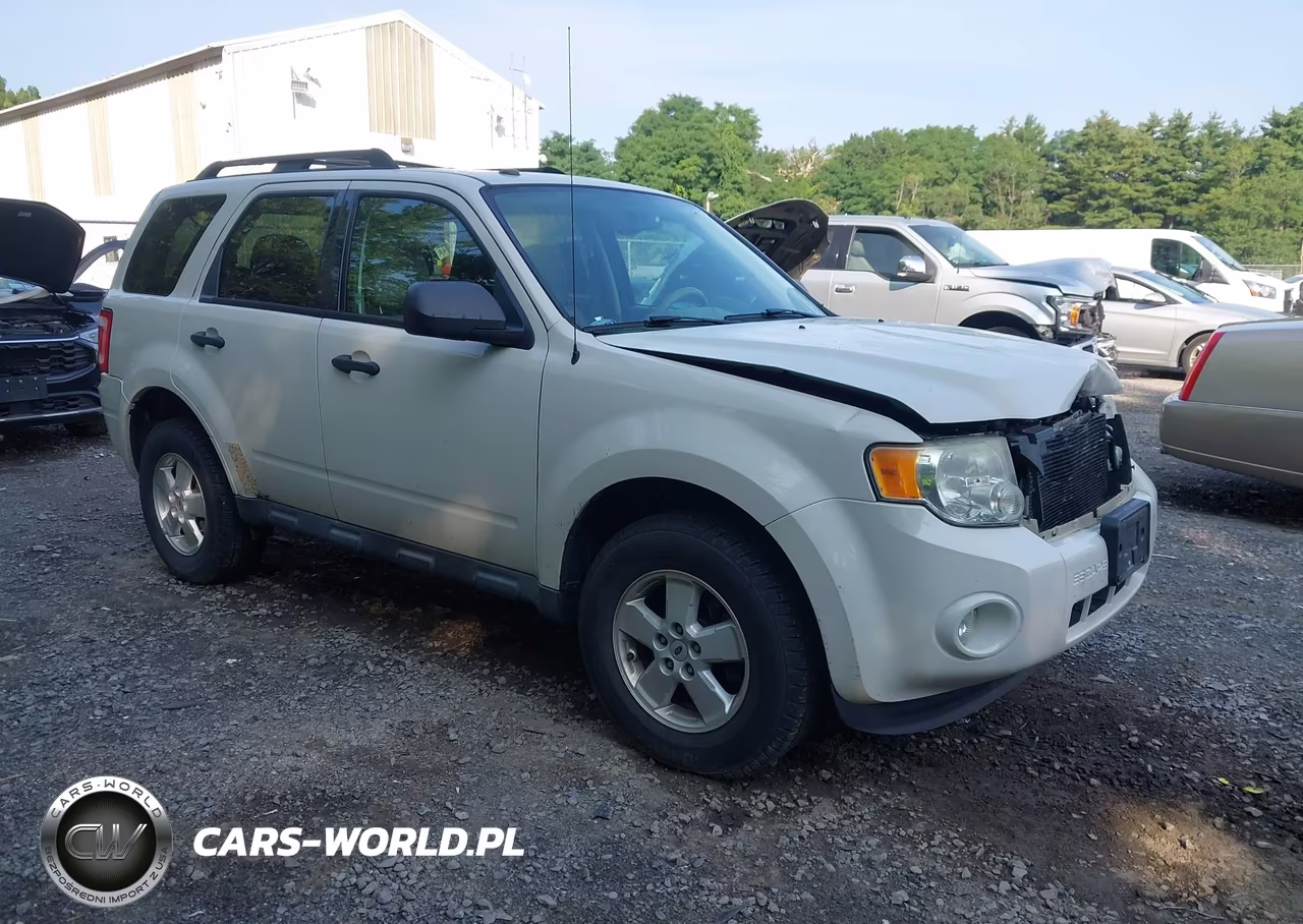 2010 Ford Escape Xlt