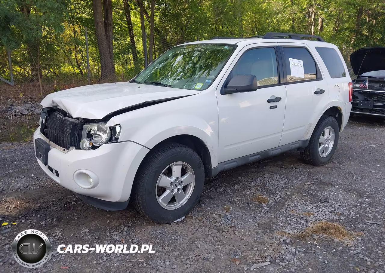 2010 Ford Escape Xlt VIN:1FMCU0DGXAKD41934 - 2