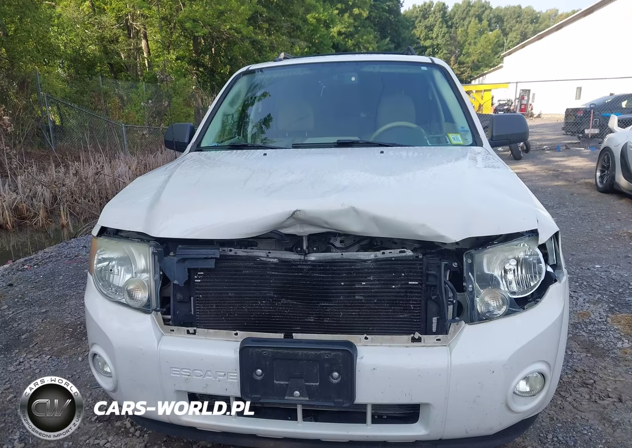 2010 Ford Escape Xlt VIN:1FMCU0DGXAKD41934 - 6