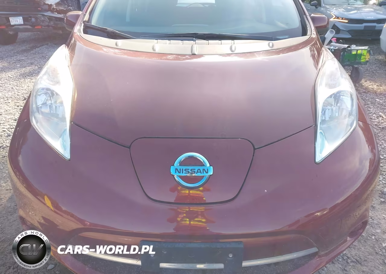 2016 Nissan Leaf S VIN:1N4BZ0CP0GC314527 - 10