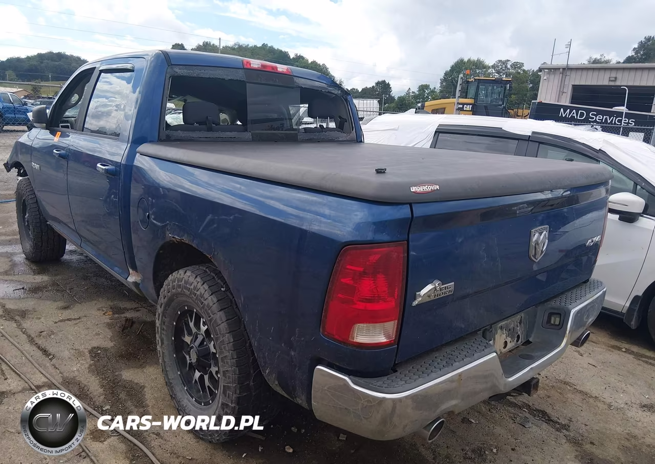 2010 Dodge Ram 1500 Slt-Sport-Trx VIN:1D7RV1CT9AS130214 - 3