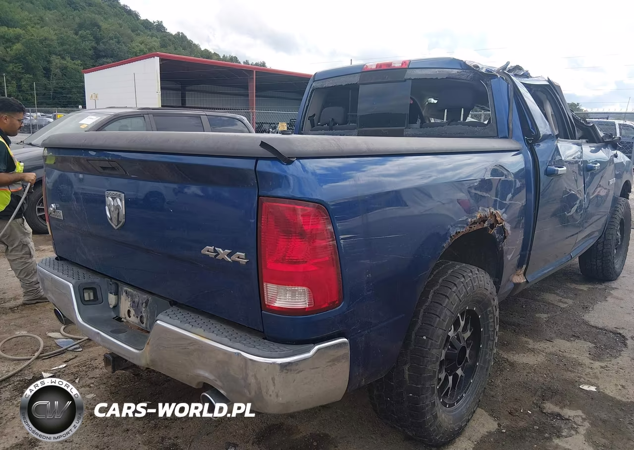 2010 Dodge Ram 1500 Slt-Sport-Trx VIN:1D7RV1CT9AS130214 - 4
