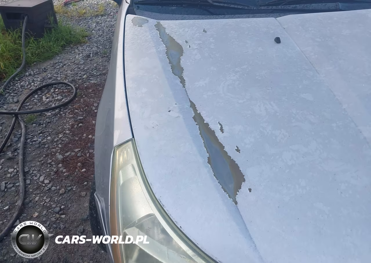 2009 Ford Focus Se VIN:1FAHP35N69W110331 - 12