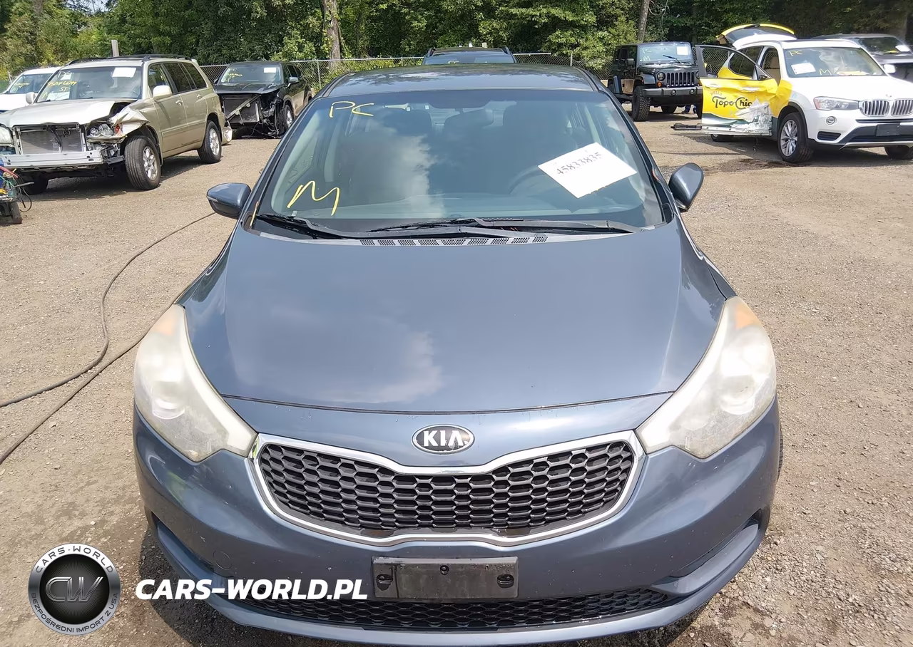 2014 Kia Forte Lx VIN:KNAFX4A69E5147182 - 12
