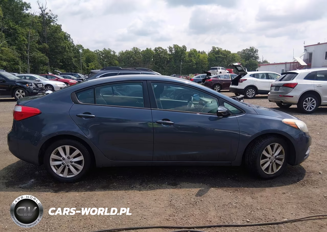 2014 Kia Forte Lx VIN:KNAFX4A69E5147182 - 13