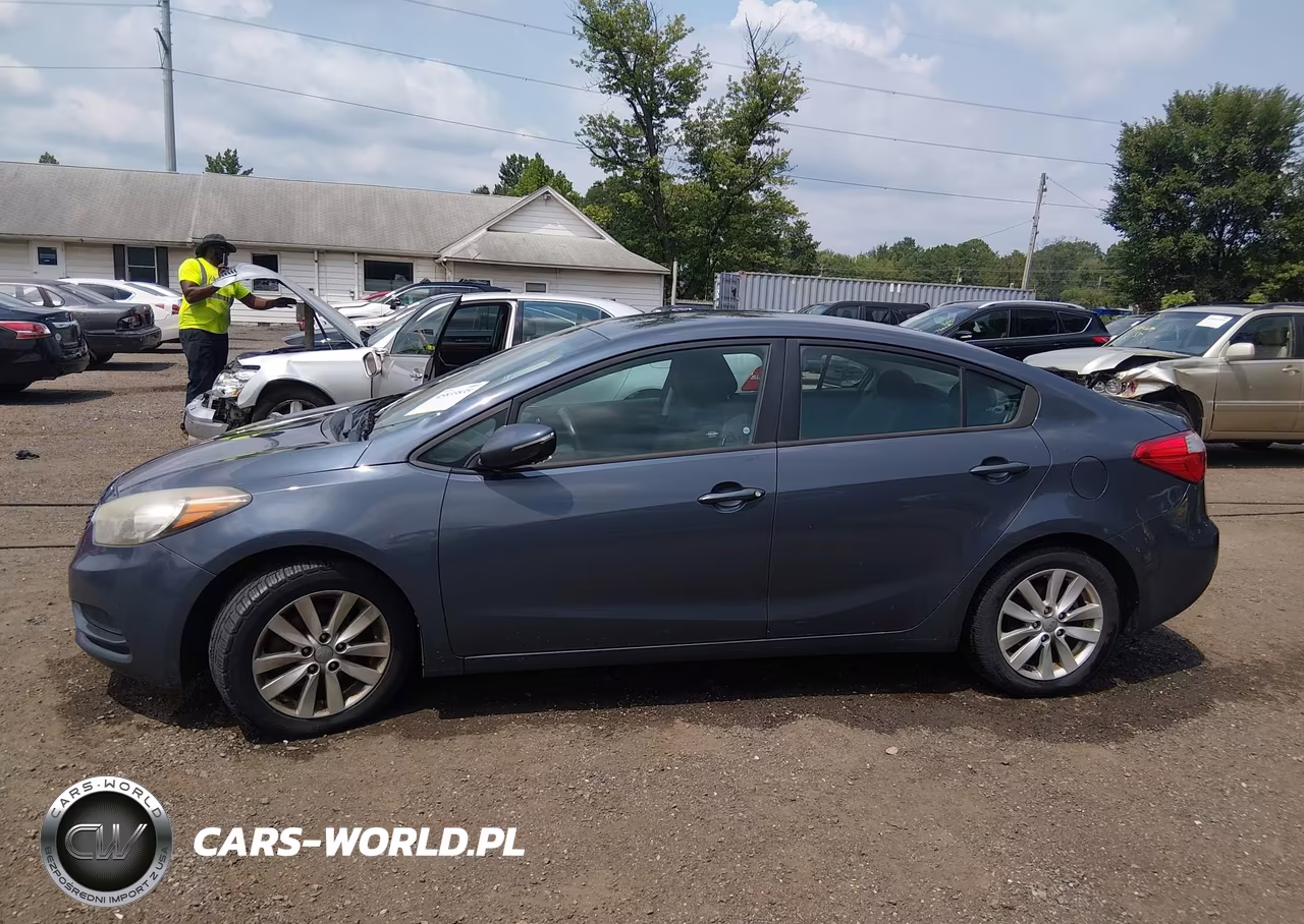 2014 Kia Forte Lx VIN:KNAFX4A69E5147182 - 14