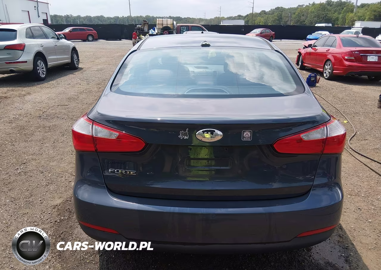 2014 Kia Forte Lx VIN:KNAFX4A69E5147182 - 16