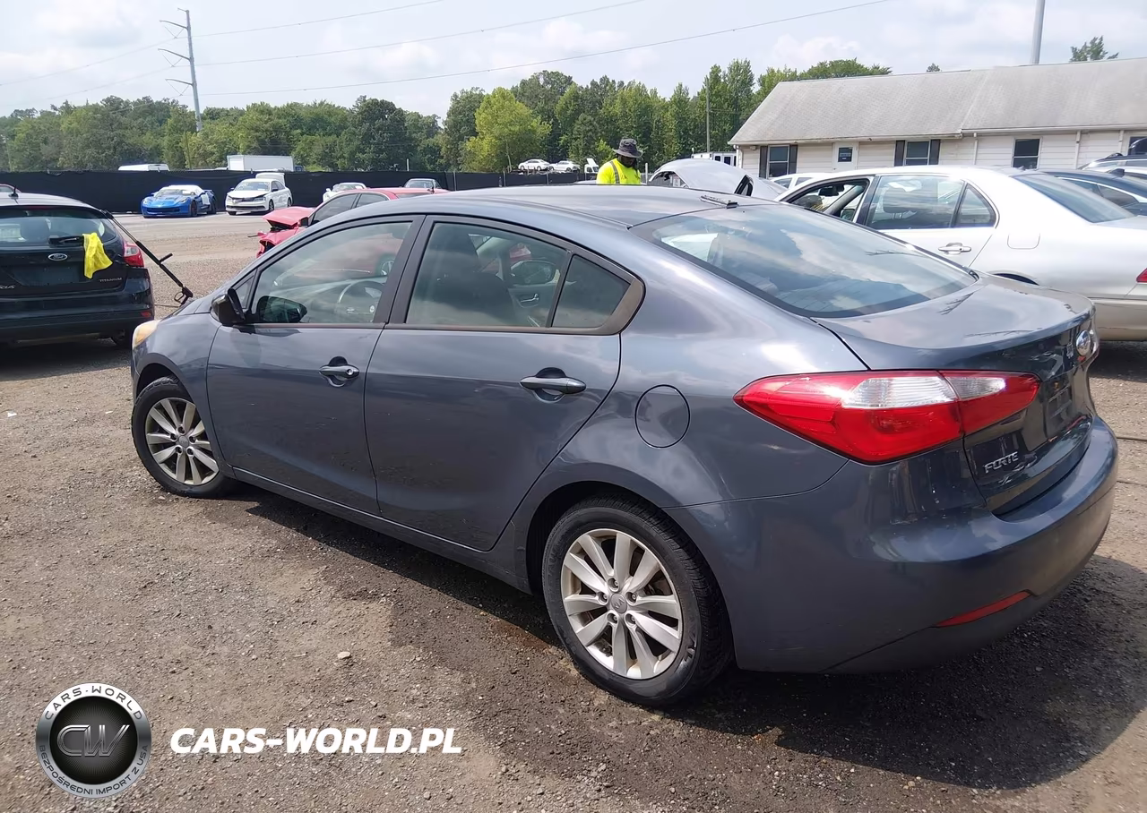 2014 Kia Forte Lx VIN:KNAFX4A69E5147182 - 3