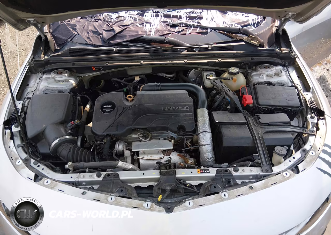 2019 Chevrolet Malibu Lt VIN:1G1ZD5ST6KF110771 - 10
