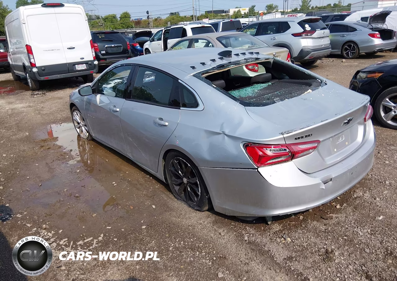 2019 Chevrolet Malibu Lt VIN:1G1ZD5ST6KF110771 - 3