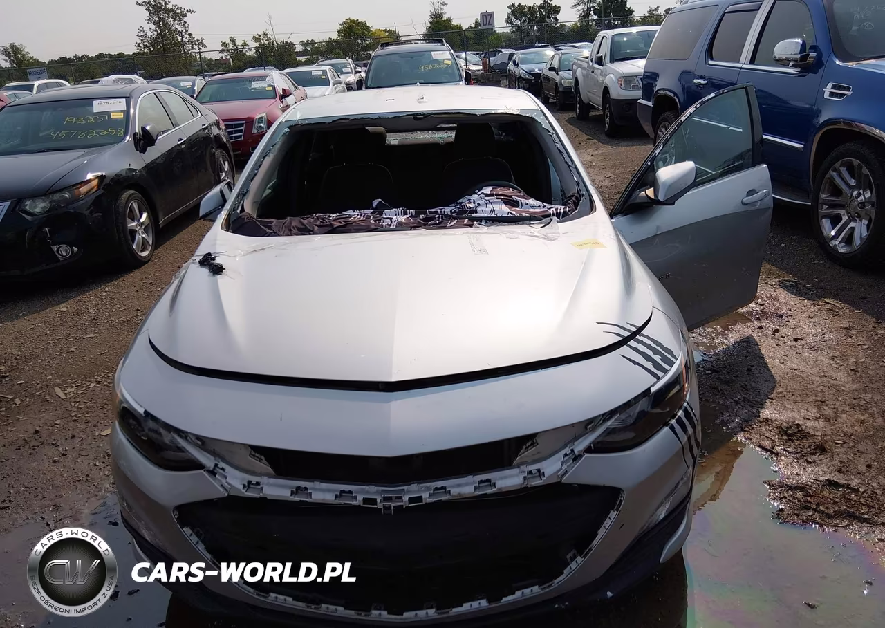 2019 Chevrolet Malibu Lt VIN:1G1ZD5ST6KF110771 - 6