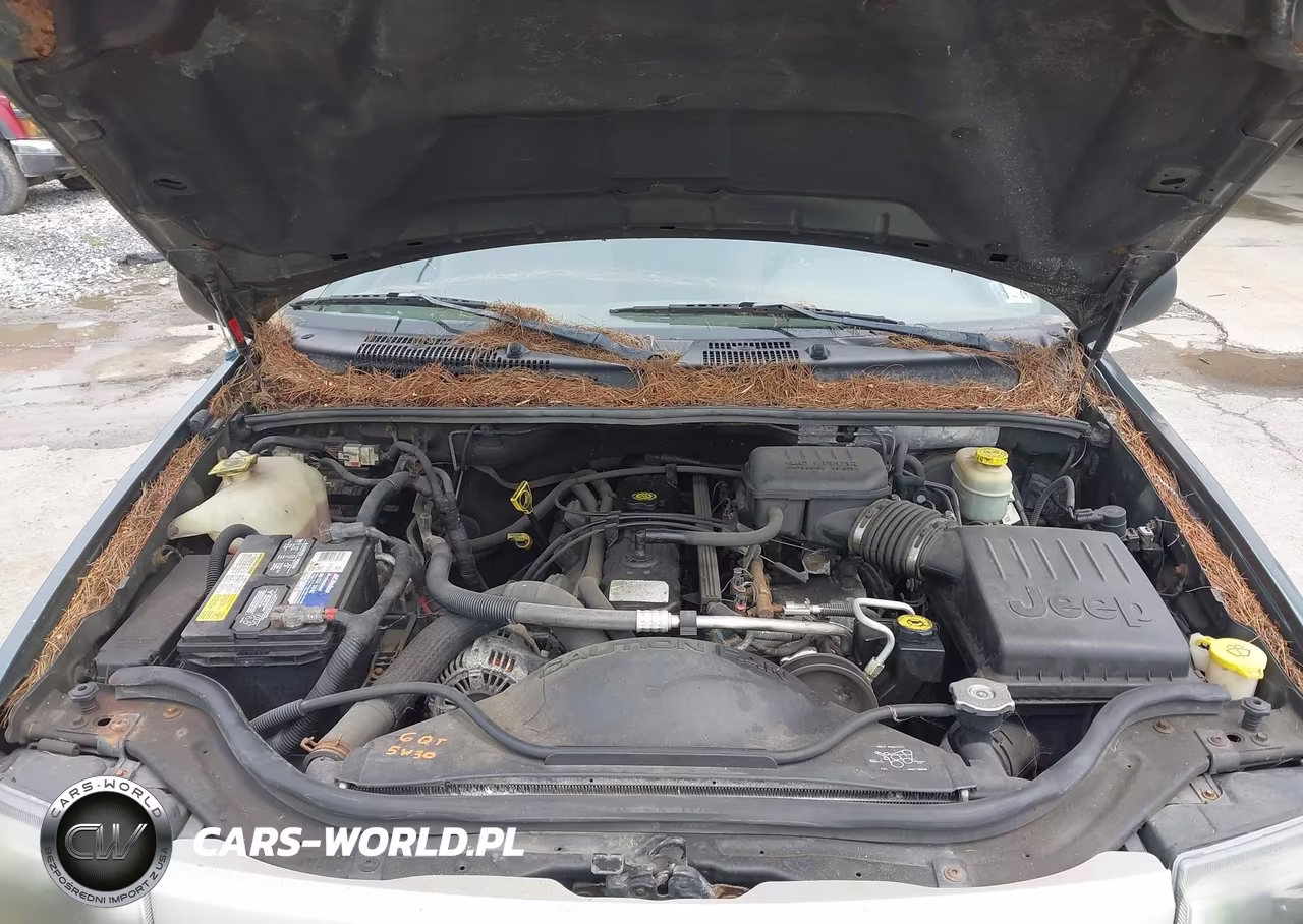 2004 Jeep Grand Cherokee Laredo VIN:1J4GW48S44C200789 - 10