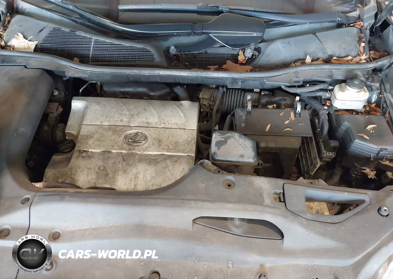 2011 Lexus Rx 350 VIN:2T2BK1BA8BC088069 - 10