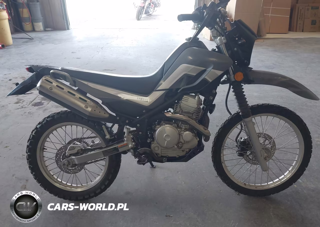 2023 Yamaha Xt250 VIN:JYADG24E5PA016564 - 12