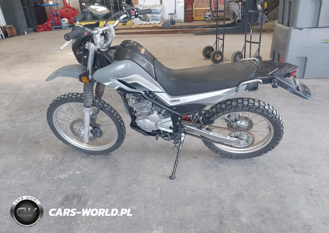 2023 Yamaha Xt250 VIN:JYADG24E5PA016564 - 13