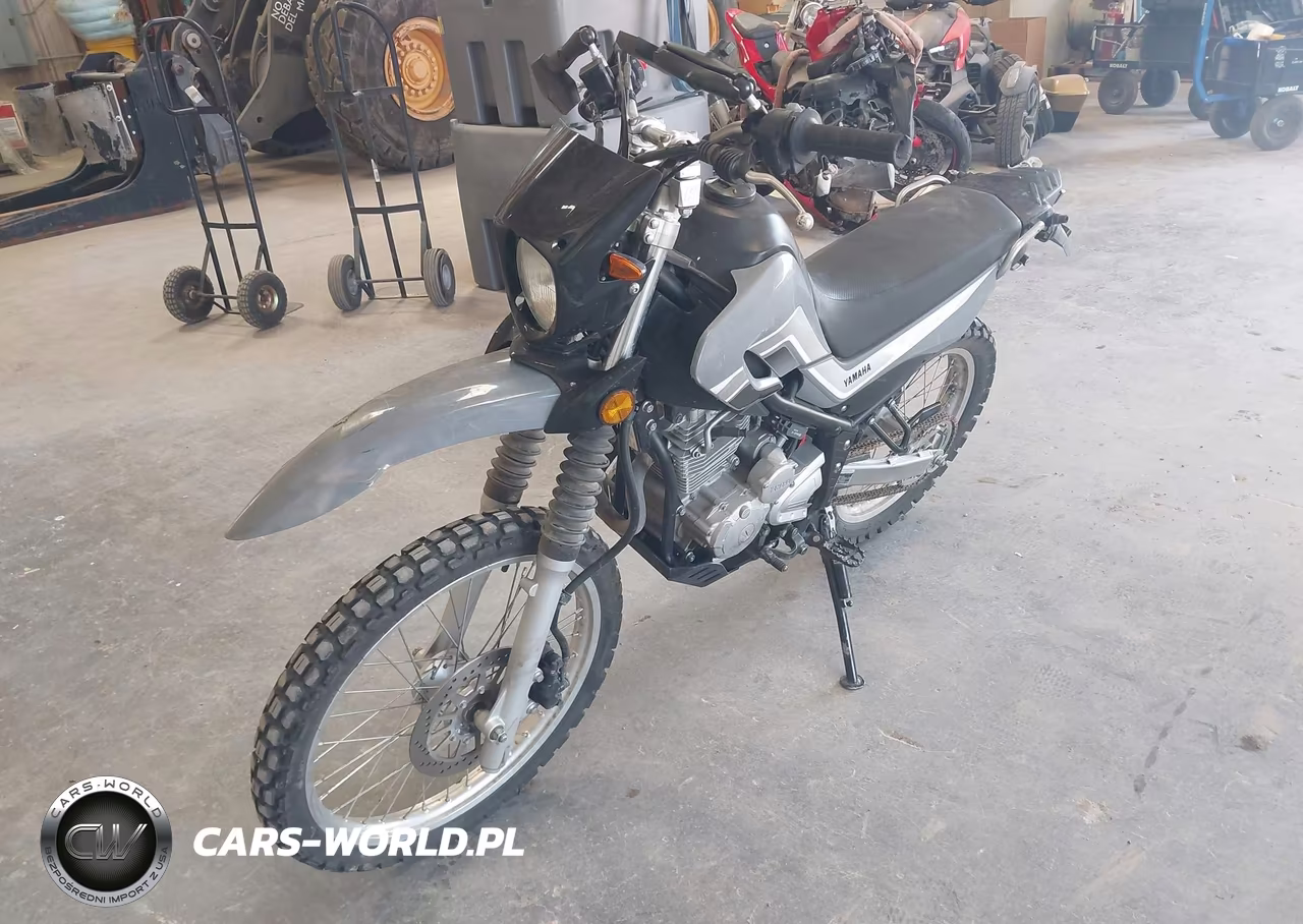 2023 Yamaha Xt250 VIN:JYADG24E5PA016564 - 2