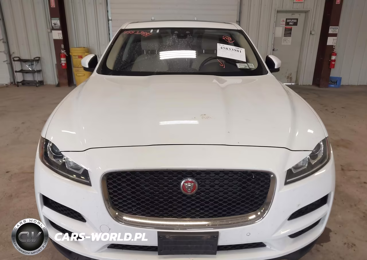 2019 Jaguar F-Pace 25T VIN:SADCS2FX8KA395229 - 12
