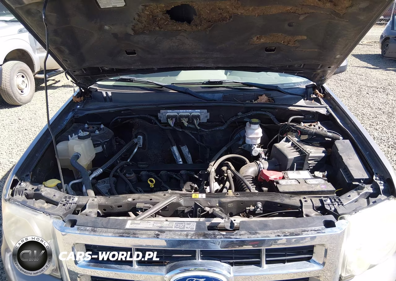 2011 Ford Escape Xlt VIN:1FMCU0D71BKA08376 - 10