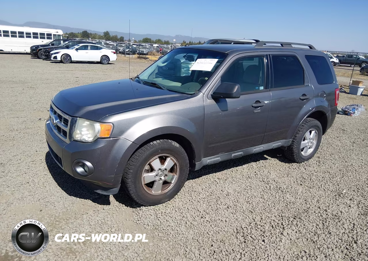 2011 Ford Escape Xlt VIN:1FMCU0D71BKA08376 - 2