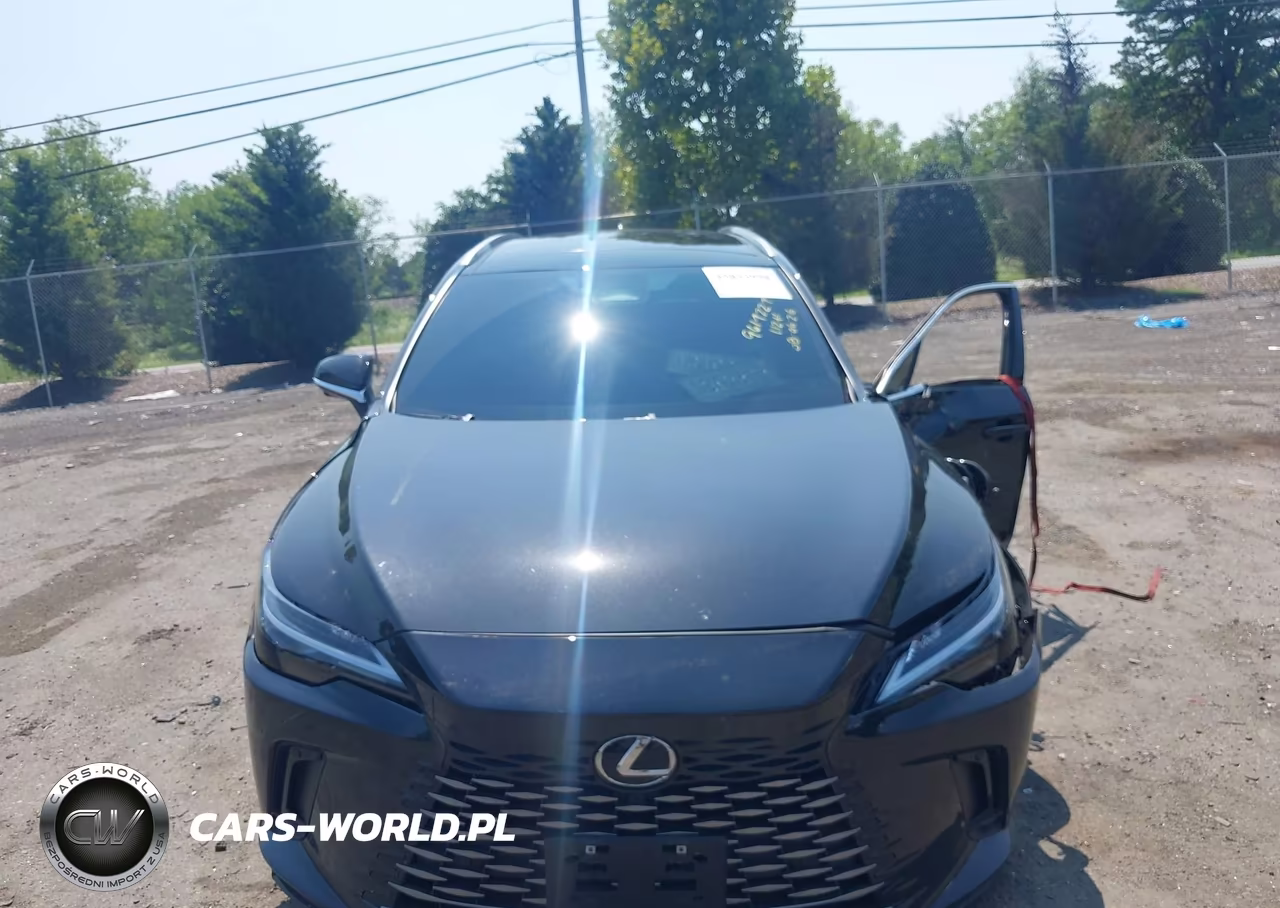 2025 Lexus Rx 350H Premium Plus VIN:2T2BBMCA2SC105173 - 13