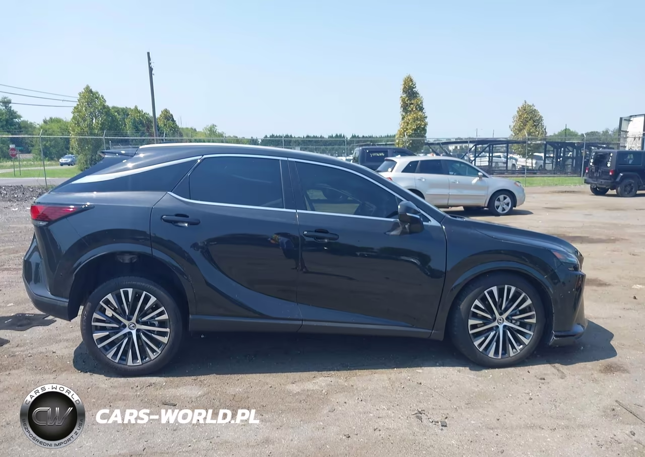 2025 Lexus Rx 350H Premium Plus VIN:2T2BBMCA2SC105173 - 14