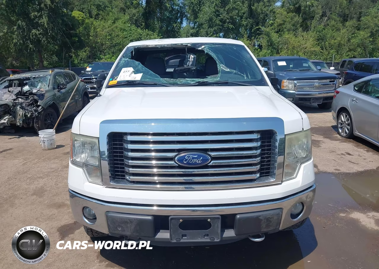 2011 Ford F-150 Xlt VIN:1FTFX1EF6BFB10320 - 12