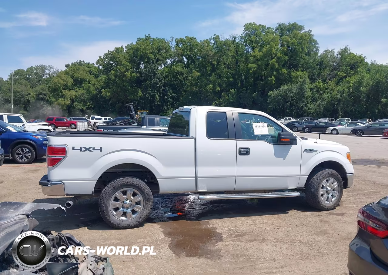 2011 Ford F-150 Xlt VIN:1FTFX1EF6BFB10320 - 13