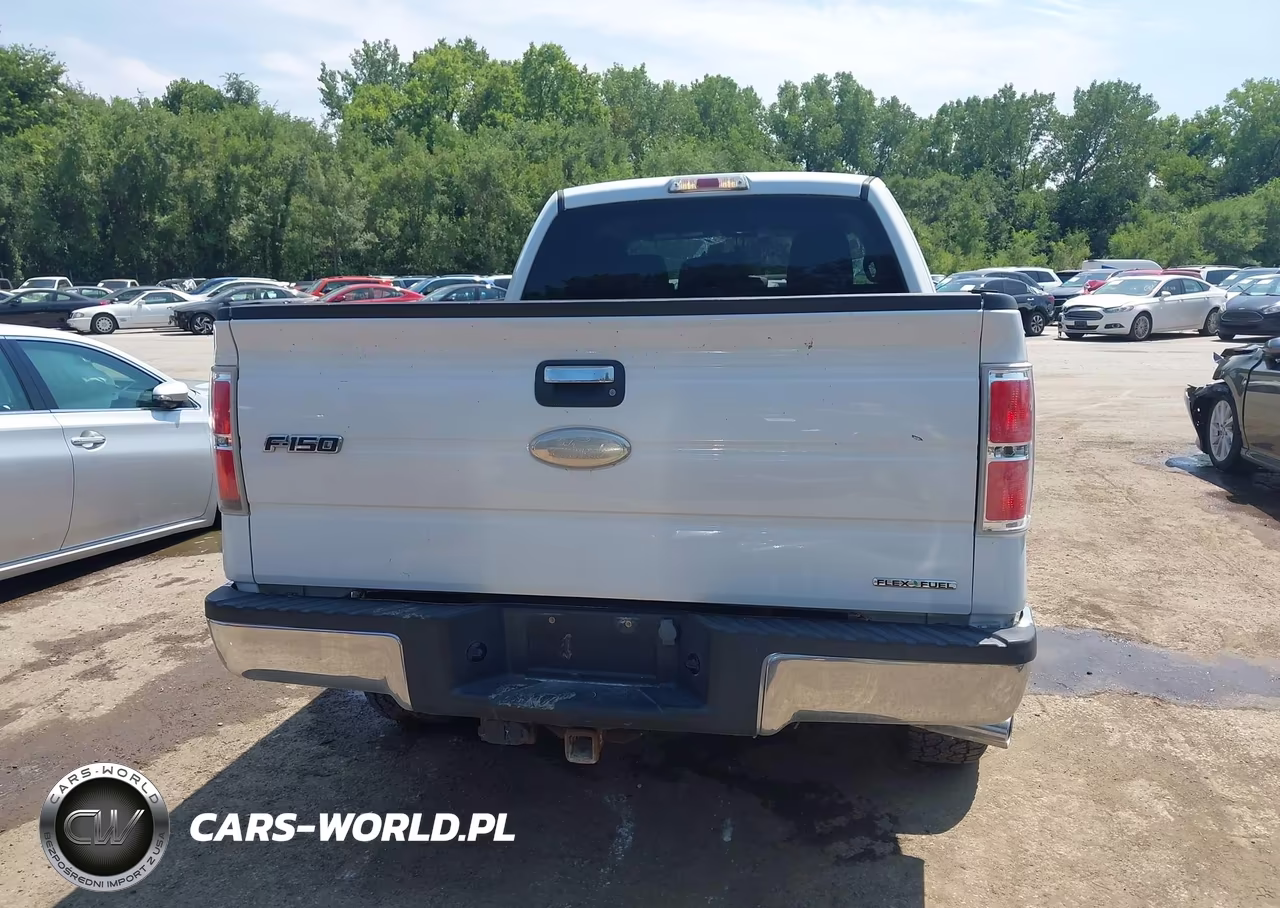 2011 Ford F-150 Xlt VIN:1FTFX1EF6BFB10320 - 16