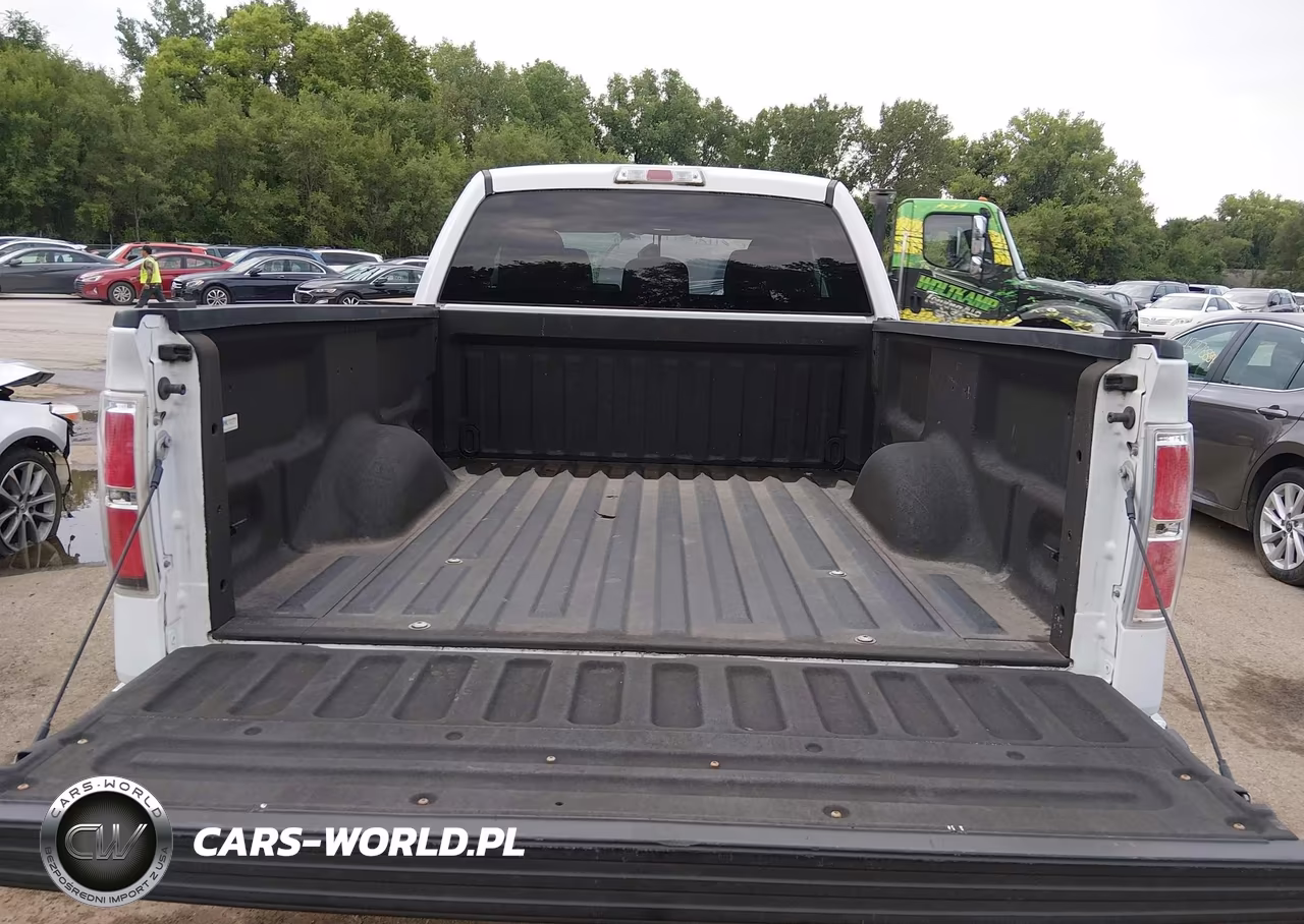 2011 Ford F-150 Xlt VIN:1FTFX1EF6BFB10320 - 17