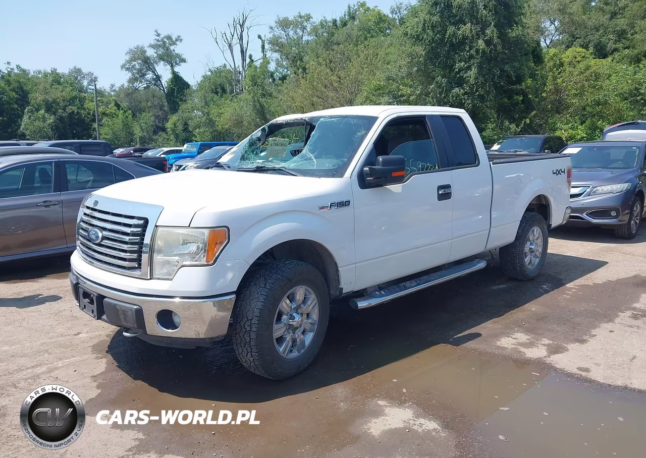 2011 Ford F-150 Xlt VIN:1FTFX1EF6BFB10320 - 2