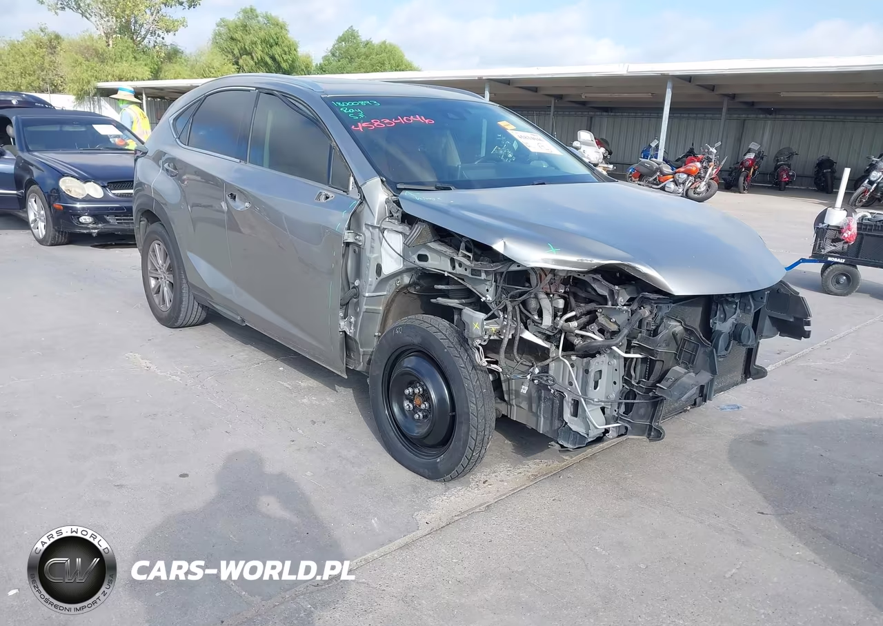 2018 Lexus Nx 300 VIN:JTJYARBZ1J2095820 - 1