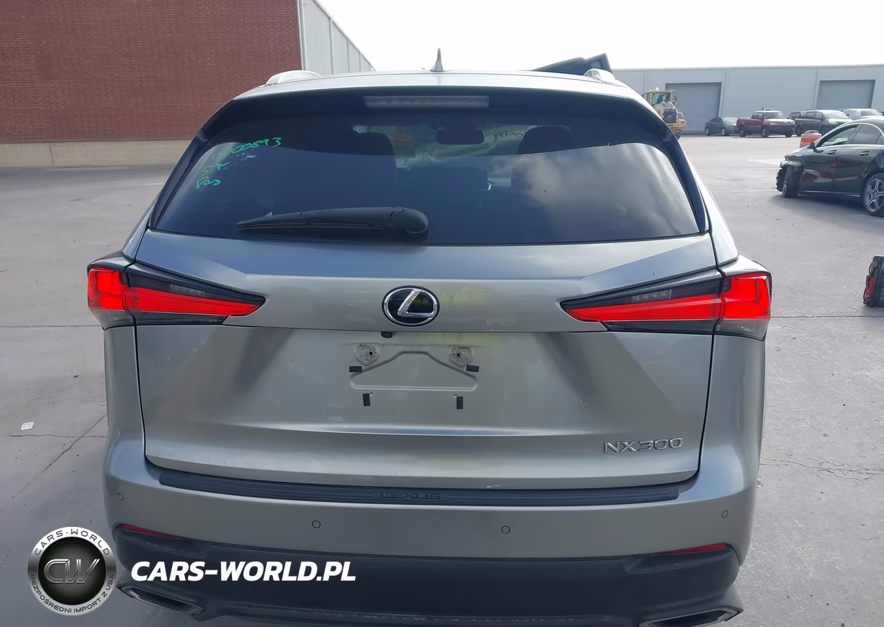2018 Lexus Nx 300 VIN:JTJYARBZ1J2095820 - 17