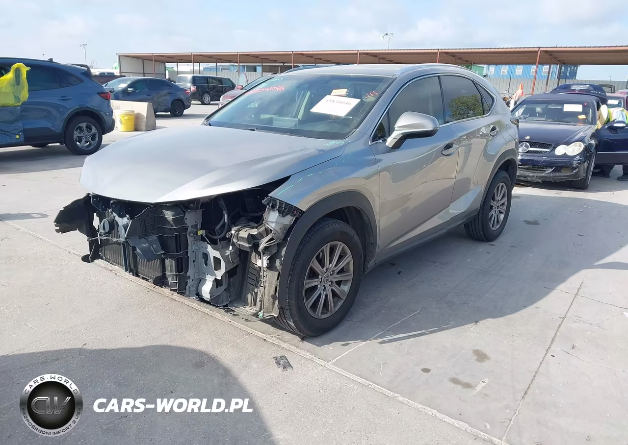 2018 Lexus Nx 300 VIN:JTJYARBZ1J2095820 - 2