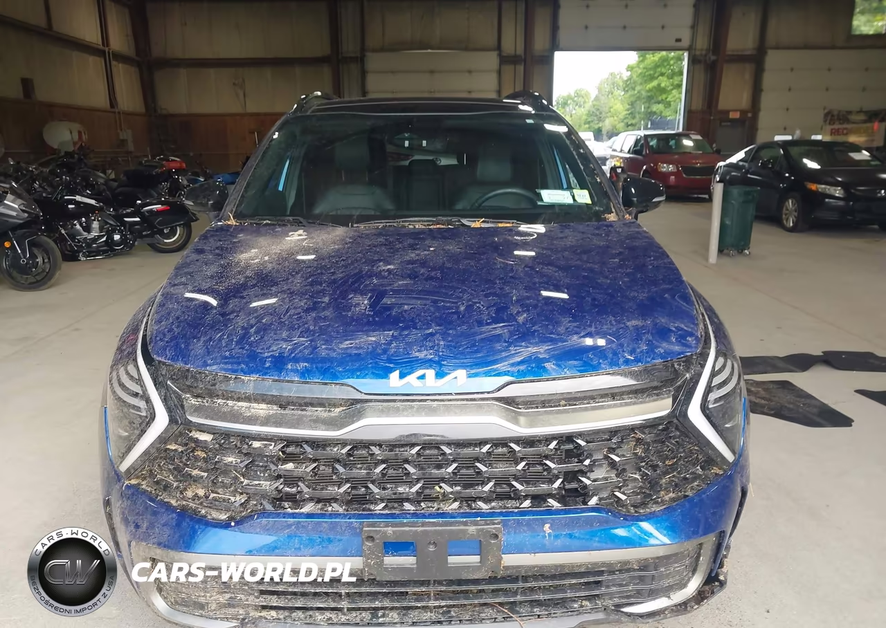 2024 Kia Sportage X-Line VIN:5XYK6CDF2RG163778 - 12