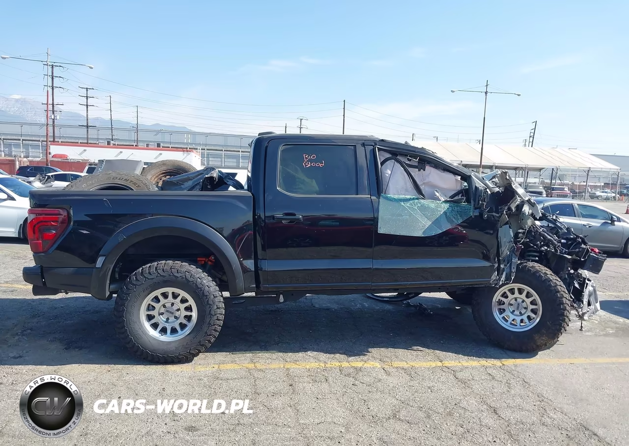 2025 Ford F-150 Raptor VIN:1FTFW1RG2SFB69452 - 13