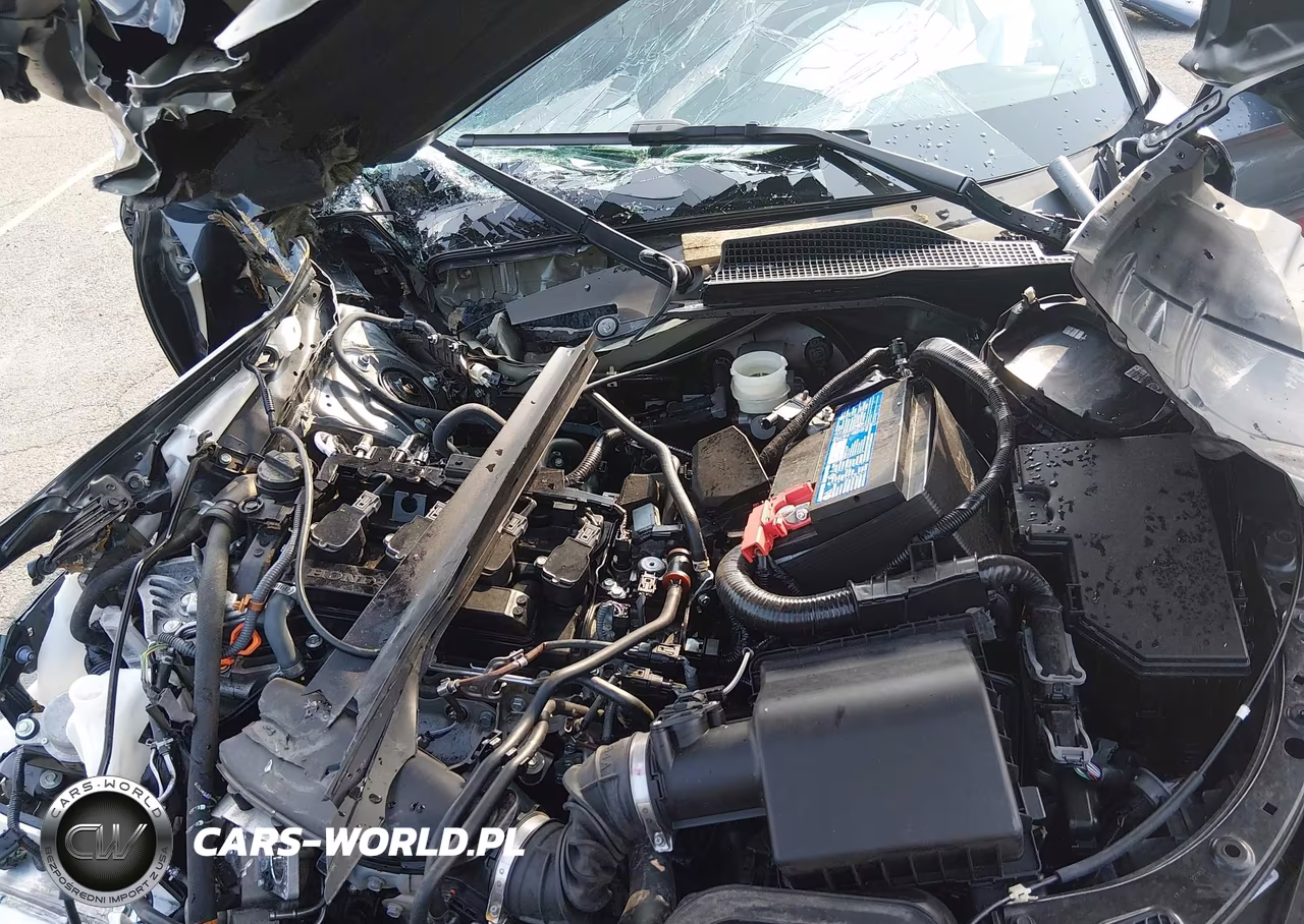 2024 Honda Civic Ex-L VIN:19XFL1H7XRE020155 - 10