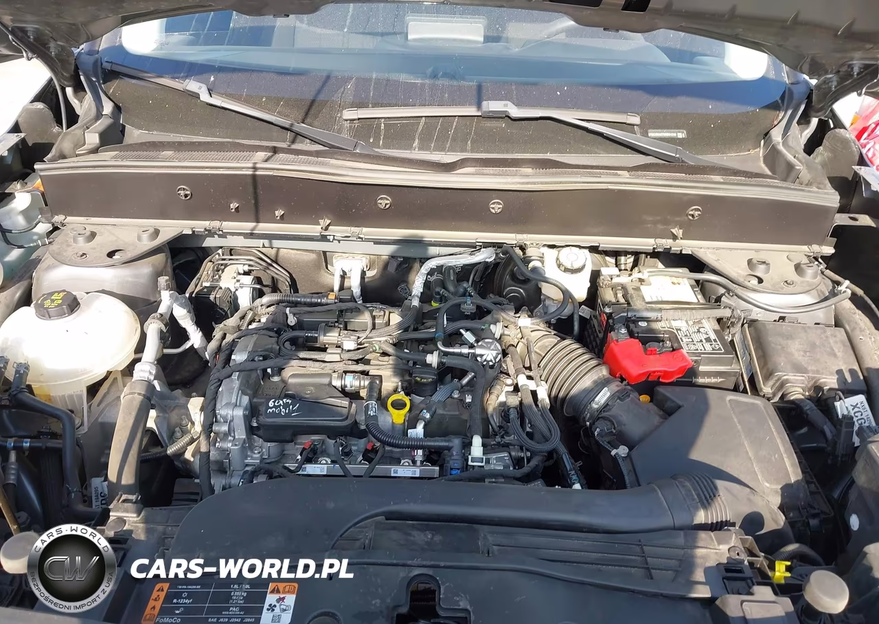 2022 Ford Bronco Sport VIN:3FMCR9A67NRD61318 - 10