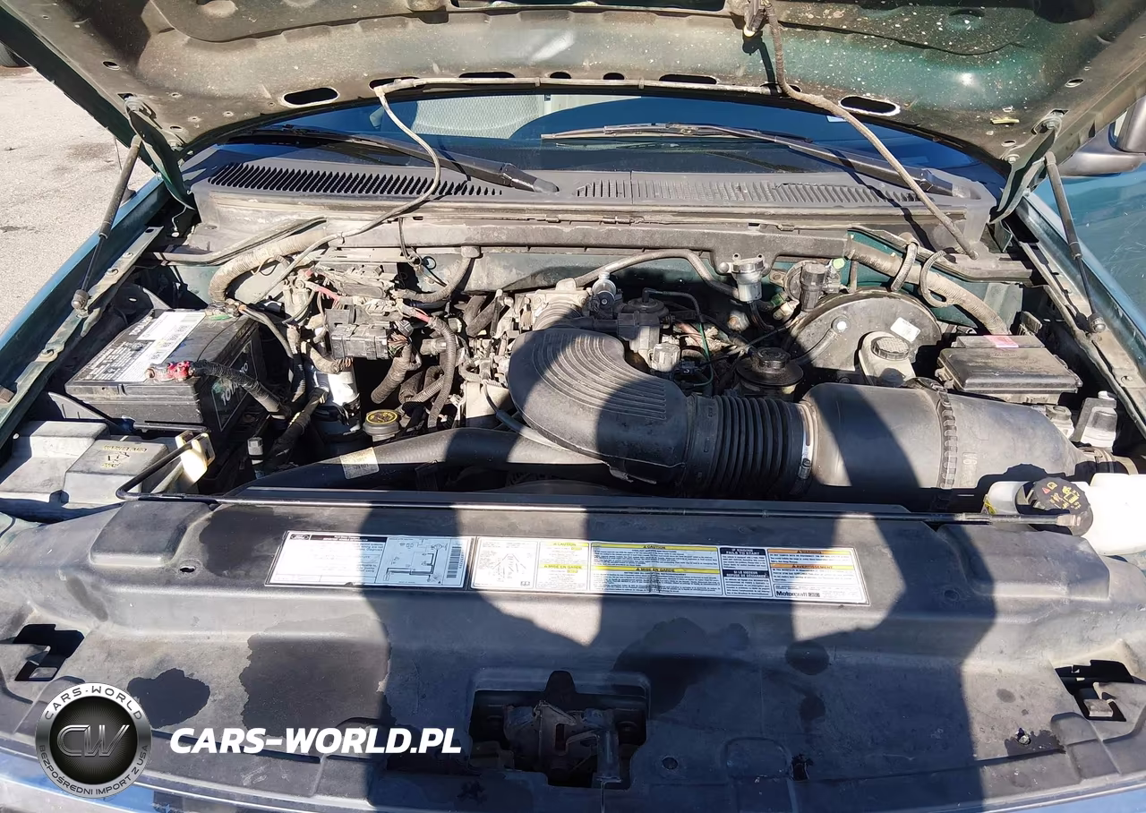 1998 Ford F-150 Lariat-Standard-Xl-Xlt VIN:1FTZX1766WNB70149 - 10