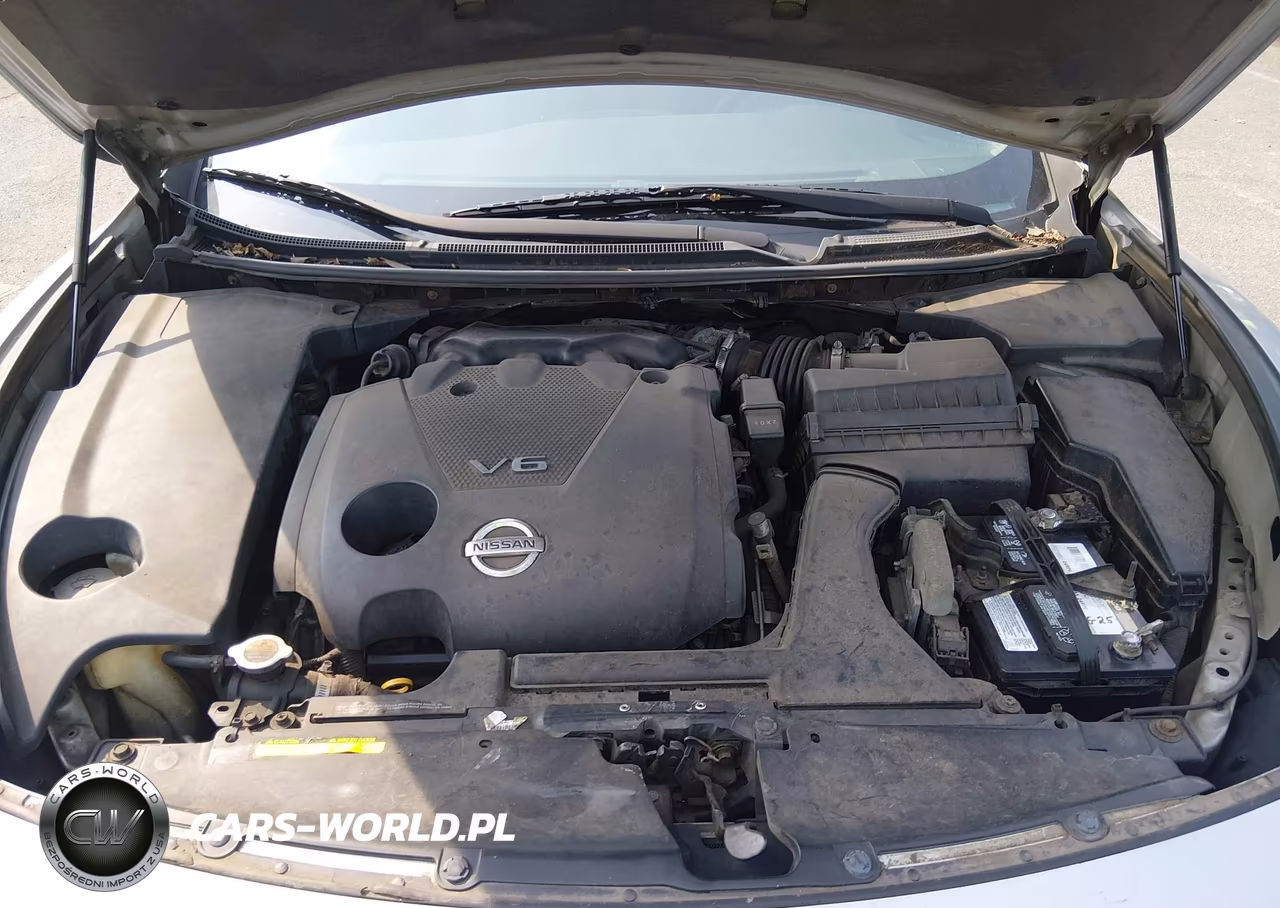 2009 Nissan Maxima 3.5 S VIN:1N4AA51E79C814141 - 10