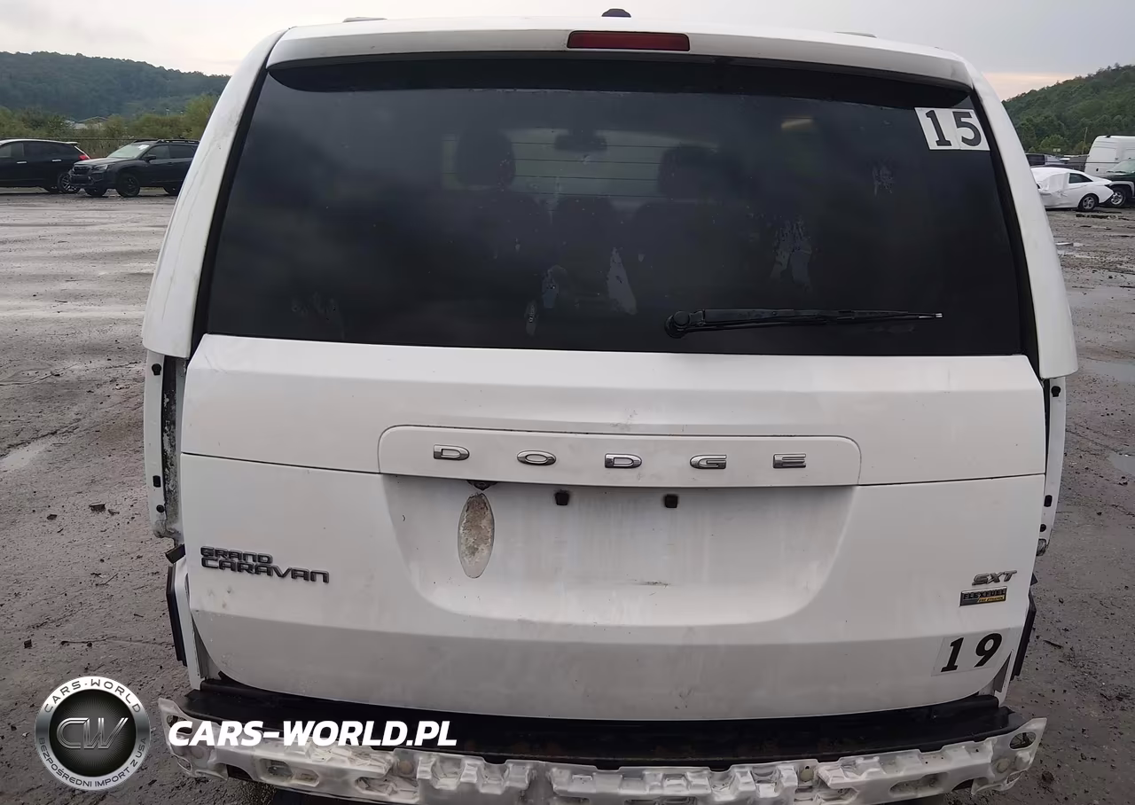2019 Dodge Grand Caravan Sxt VIN:2C4RDGCG2KR804631 - 17