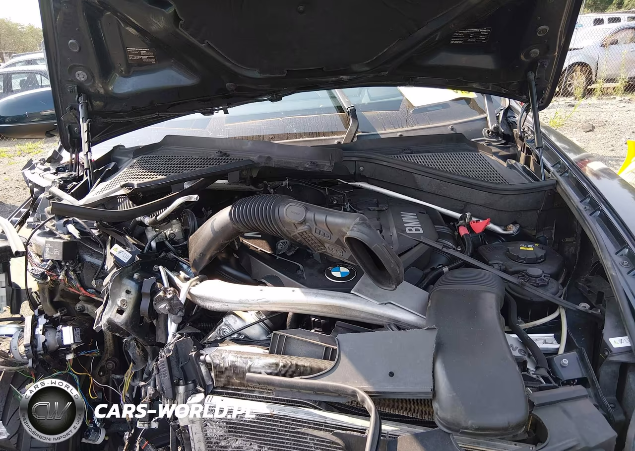 2014 BMW X6 xDrive50I VIN:5UXFG8C52EL593165 - 10