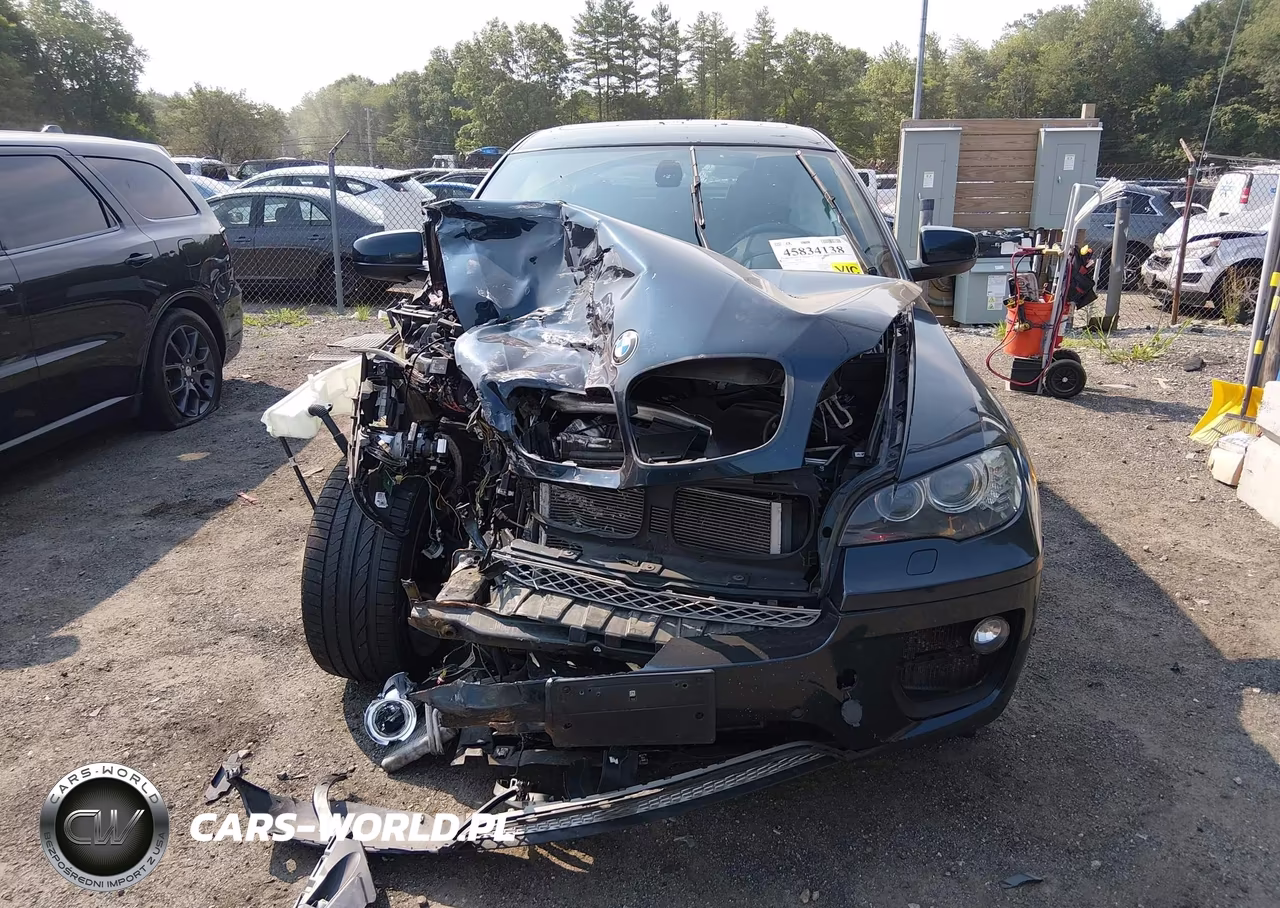 2014 BMW X6 xDrive50I VIN:5UXFG8C52EL593165 - 12