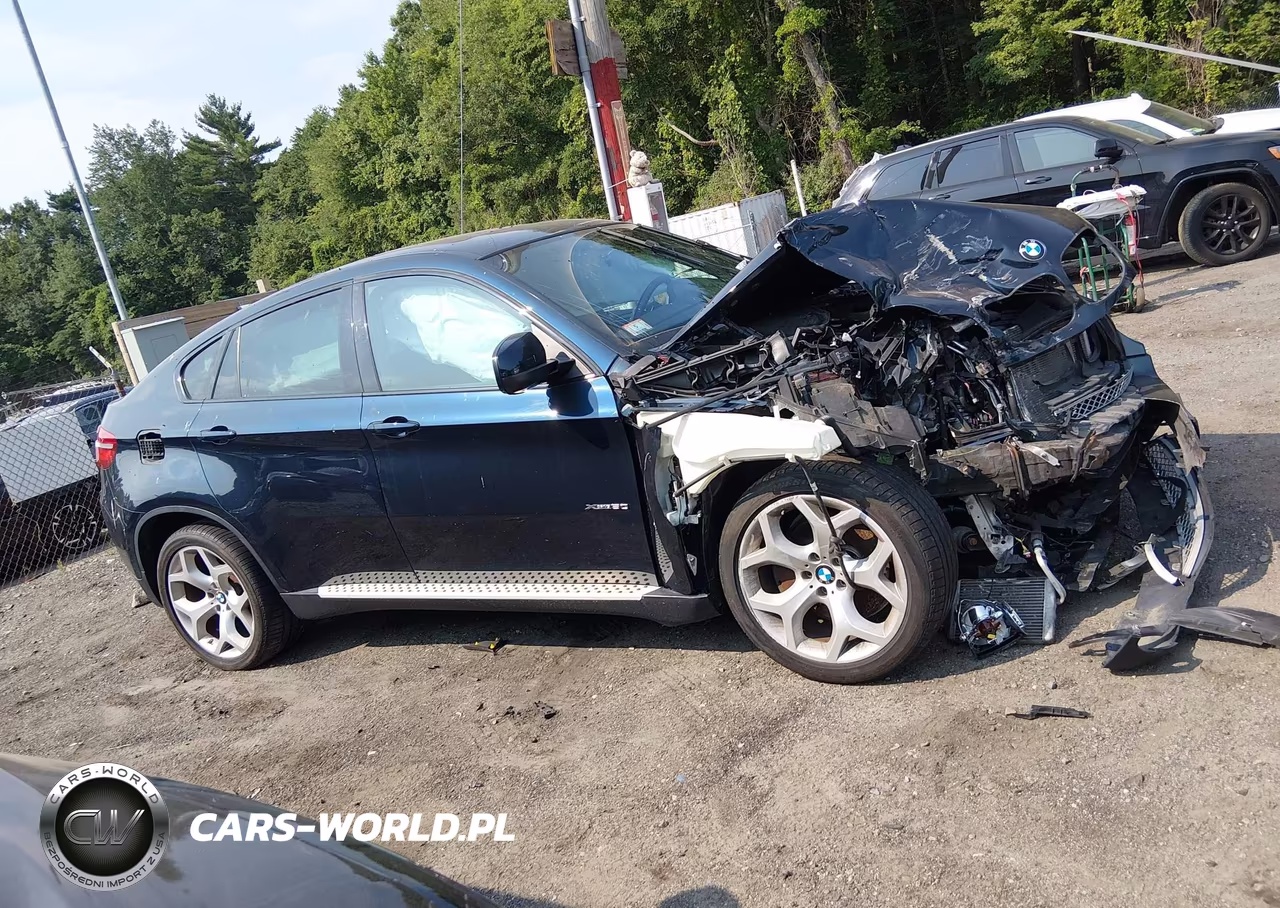2014 BMW X6 xDrive50I VIN:5UXFG8C52EL593165 - 13
