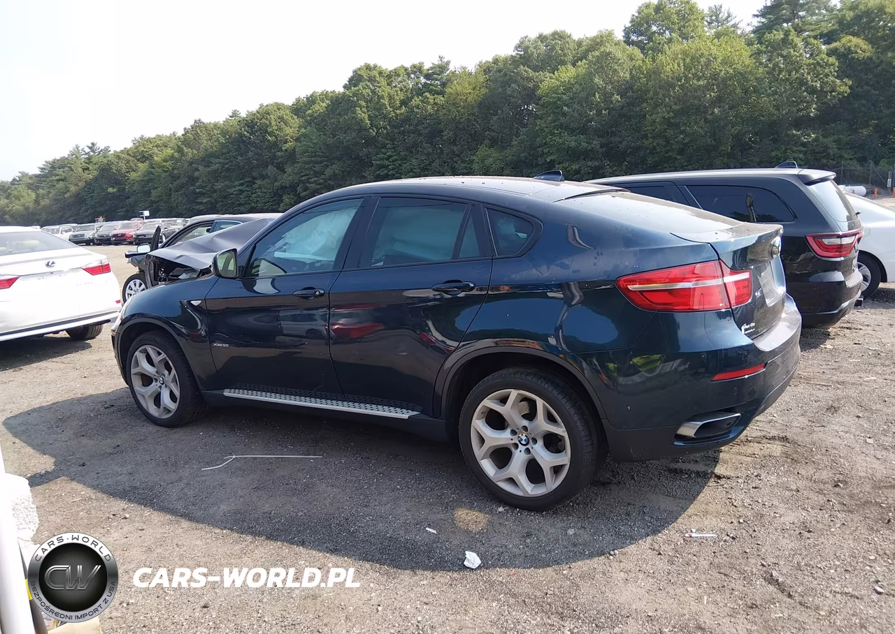 2014 BMW X6 xDrive50I VIN:5UXFG8C52EL593165 - 14