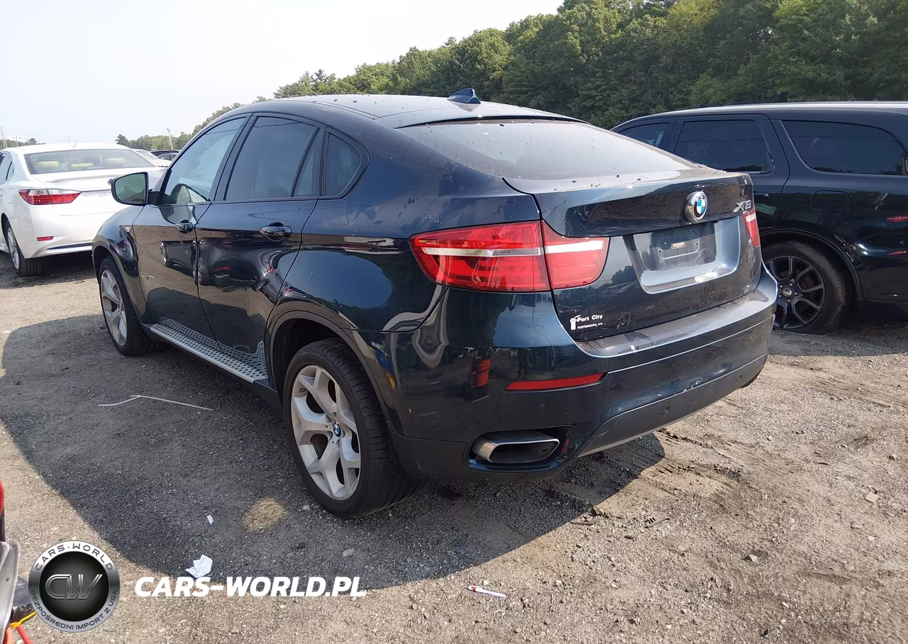 2014 BMW X6 xDrive50I VIN:5UXFG8C52EL593165 - 3