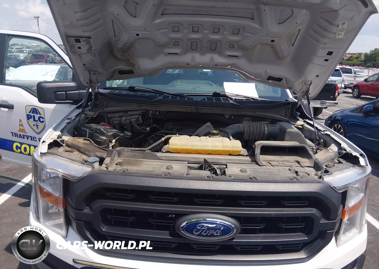 2021 Ford F-150 Xl VIN:1FTFW1E56MFD10496 - 10