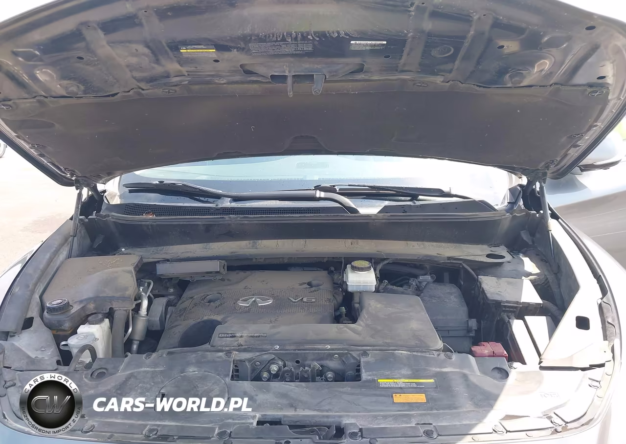 2016 Infiniti Qx60 VIN:5N1AL0MM3GC509075 - 10