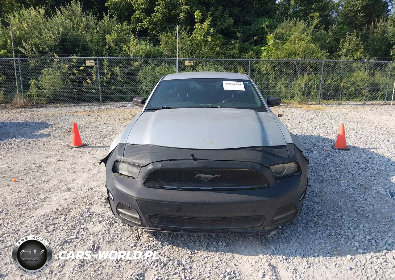 2014 Ford Mustang V6 VIN:1ZVBP8AM5E5276346 - 12