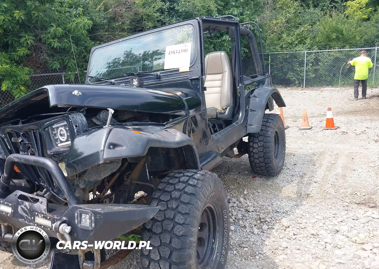 1995 Jeep Wrangler - Yj S-Rio Grande VIN:1J4FY19P4SP200182 - 18